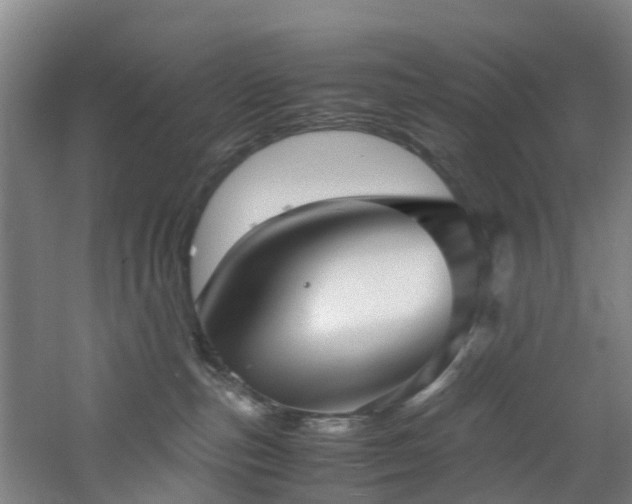 X0000060770187200511101224