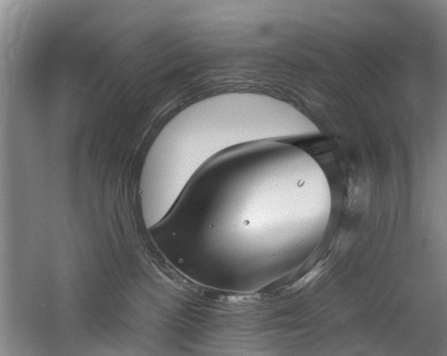 X0000060770188200511101224