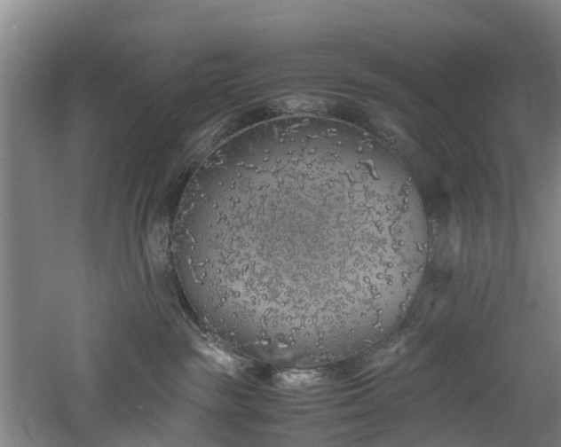 X0000060770189200511101224