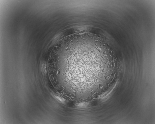 X0000060770191200511101224