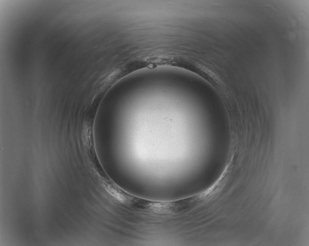 X0000060770192200511101224