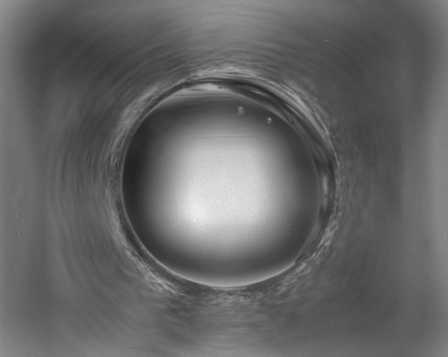 X0000060770193200511101223