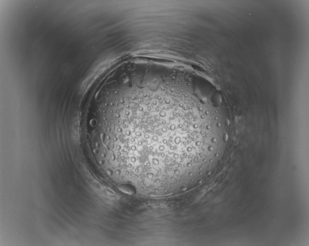 X0000060770194200511101223