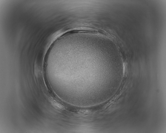 X0000060770195200511101223