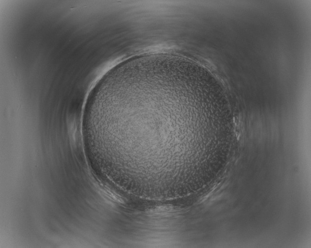 X0000060770196200511101223