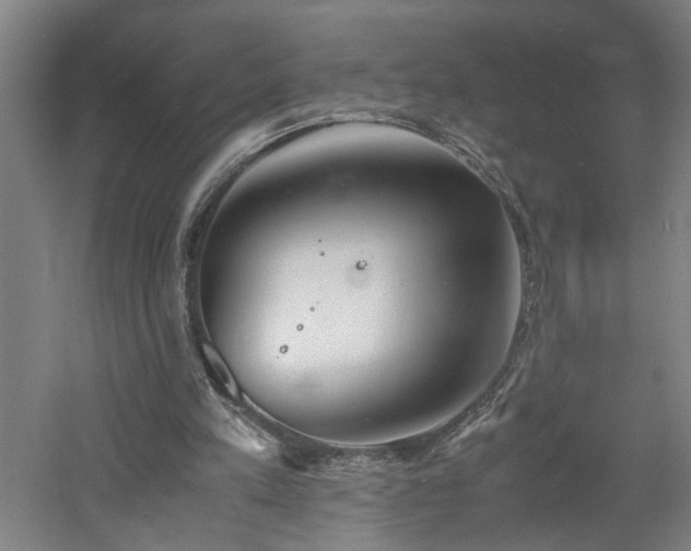 X0000060770197200511101223