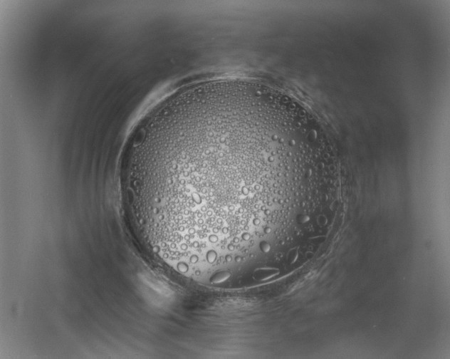 X0000060770198200511101223