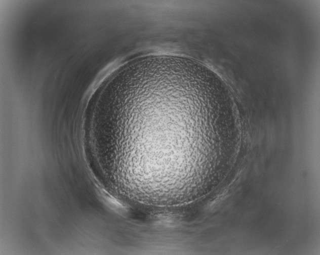 X0000060770199200511101223