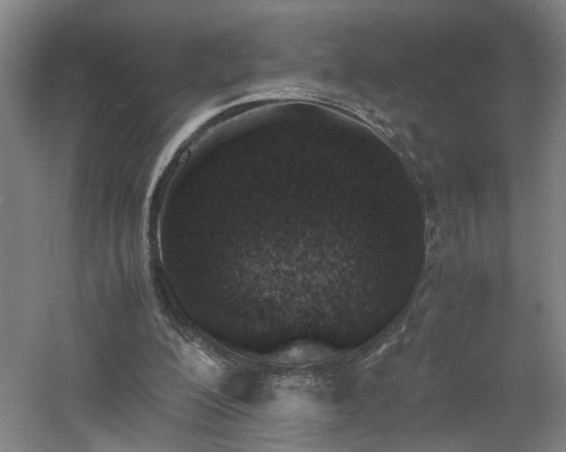 X0000060770200200511101223