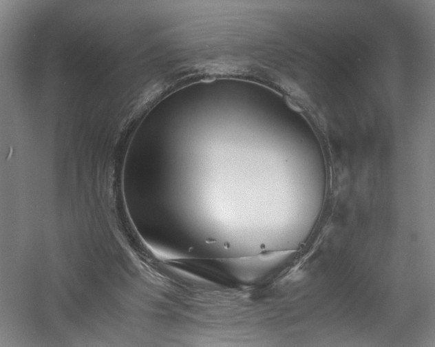 X0000060770201200511101223