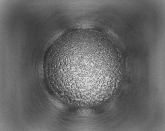 X0000060770202200511101223