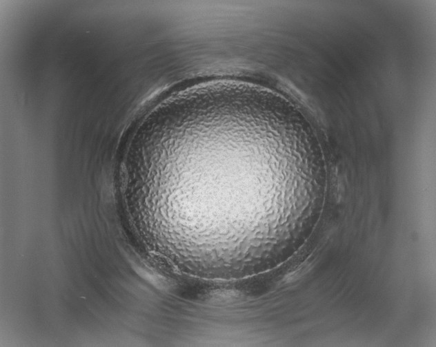 X0000060770203200511101223