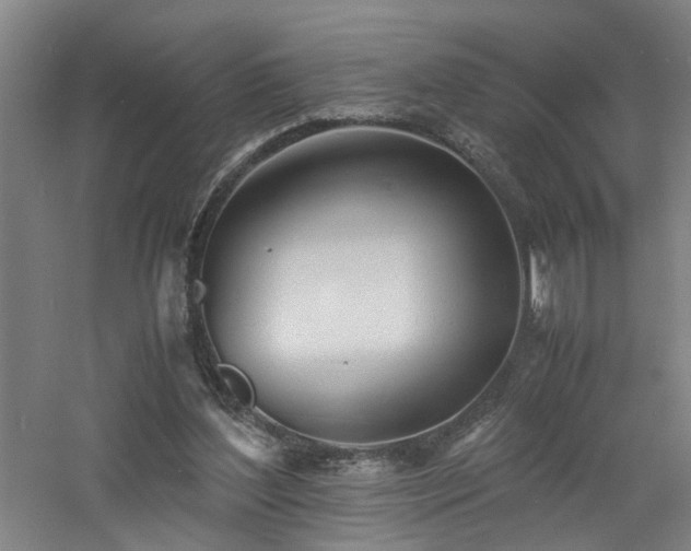 X0000060770204200511101223