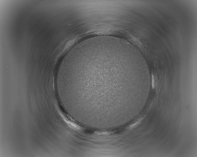 X0000060770205200511101223