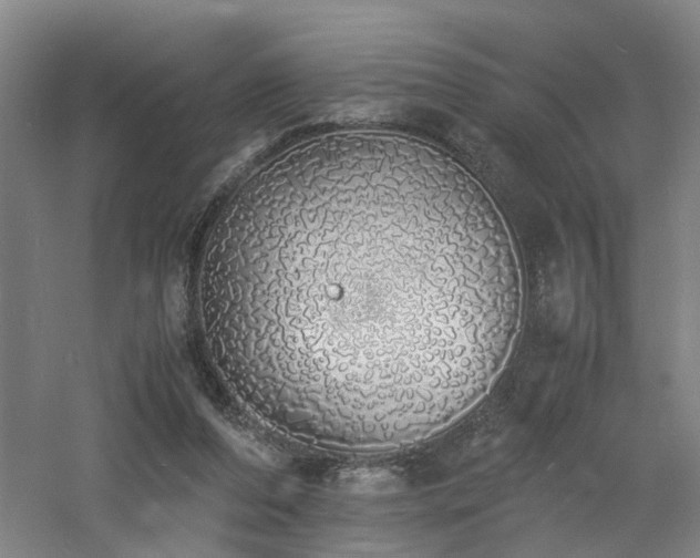 X0000060770208200511101223