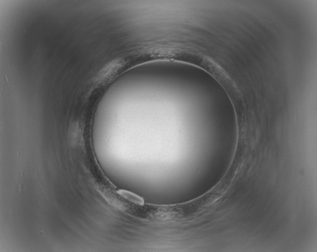 X0000060770209200511101223