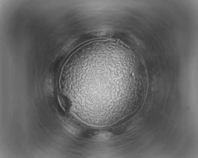 X0000060770210200511101223