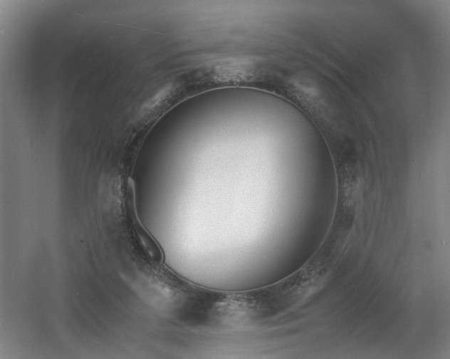 X0000060770211200511101223