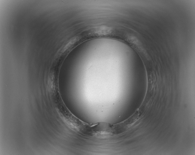 X0000060770212200511101223