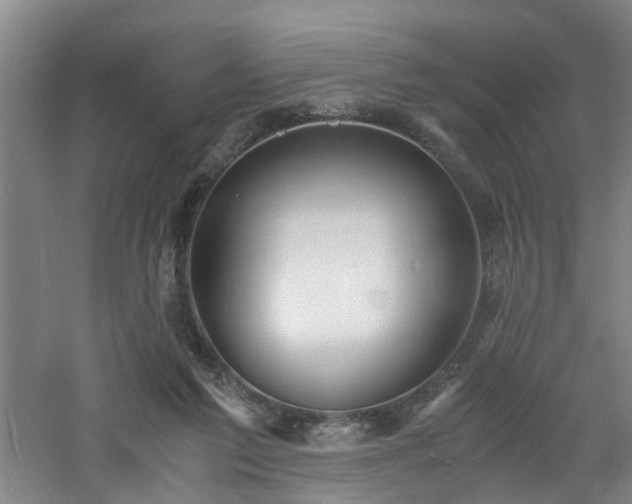 X0000060770213200511101223