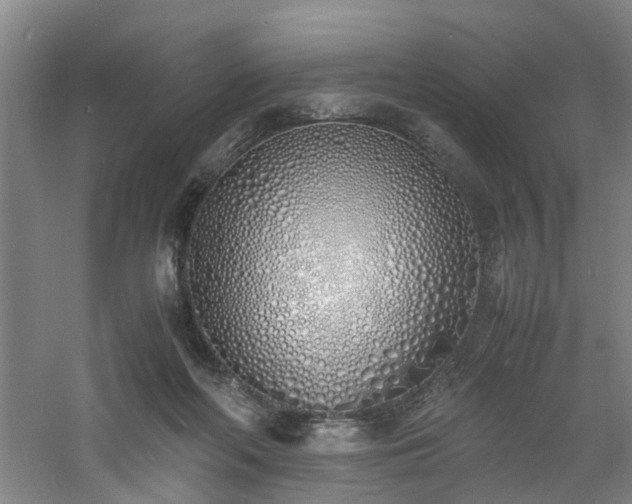 X0000060770214200511101222