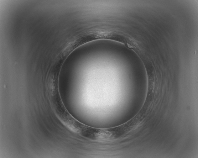 X0000060770215200511101222