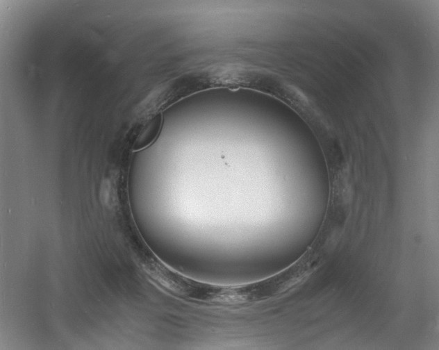 X0000060770217200511101222