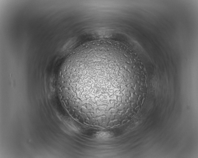 X0000060770218200511101222