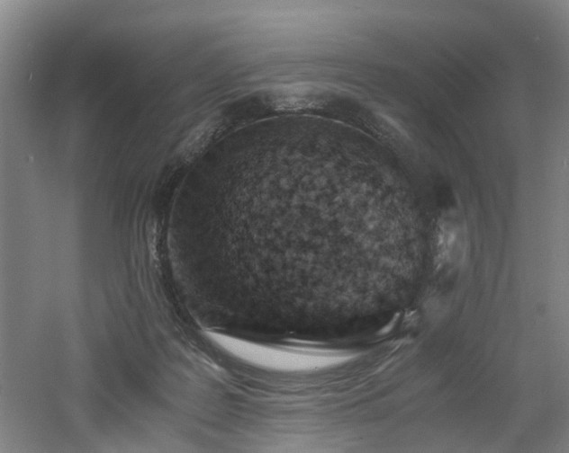 X0000060770219200511101222