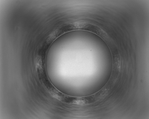 X0000060770220200511101222