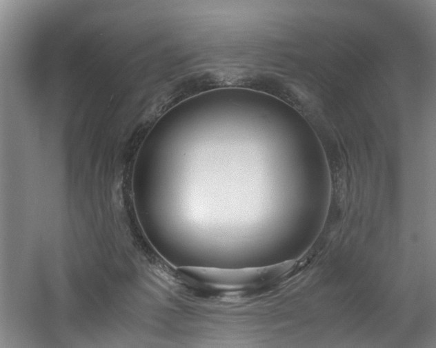 X0000060770221200511101222