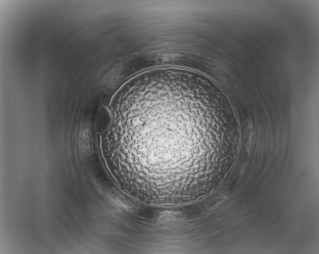 X0000060770222200511101222