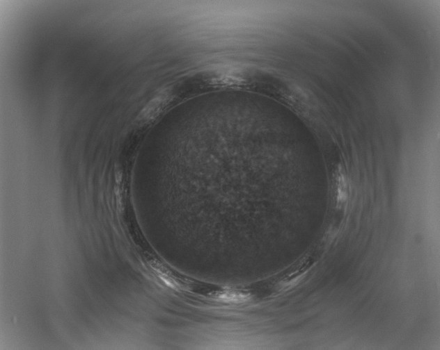 X0000060770223200511101222