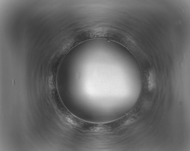 X0000060770224200511101222