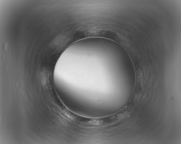 X0000060770225200511101222