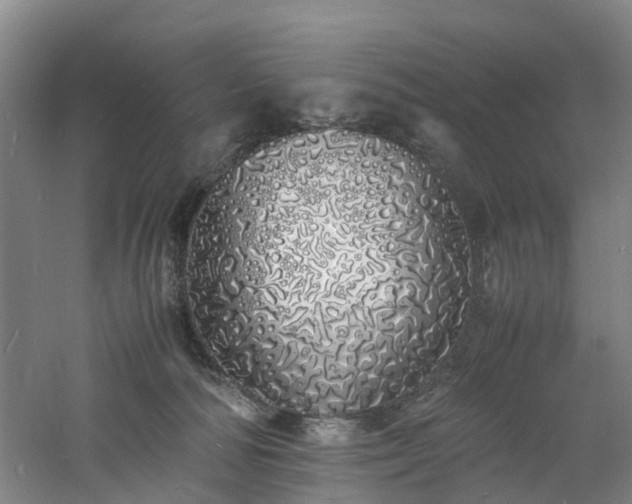 X0000060770226200511101222