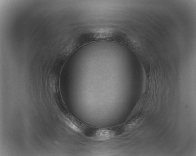 X0000060770227200511101222