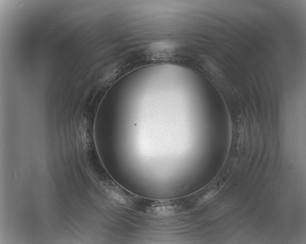 X0000060770228200511101222