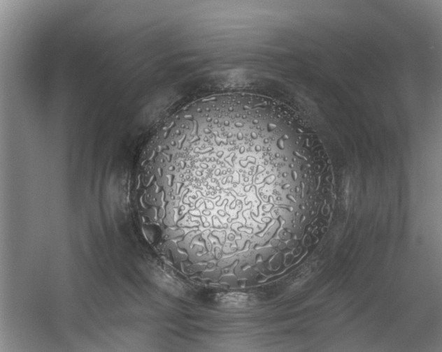 X0000060770230200511101222