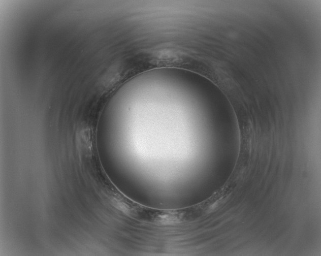 X0000060770232200511101222