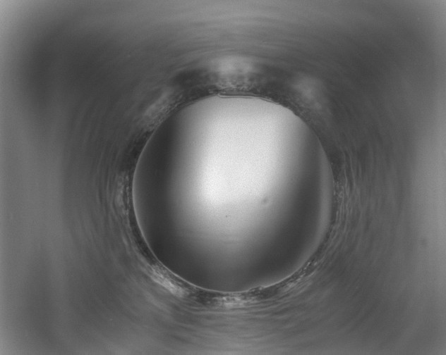 X0000060770233200511101222