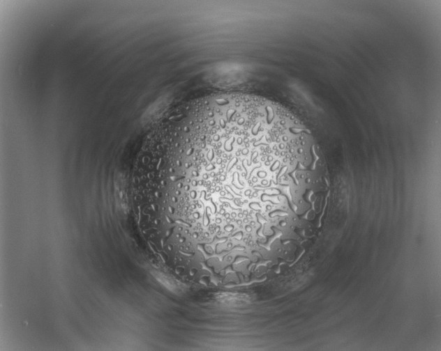 X0000060770234200511101222