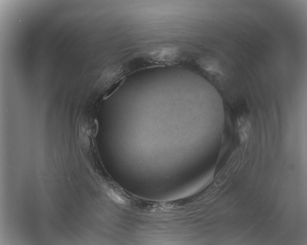 X0000060770235200511101222