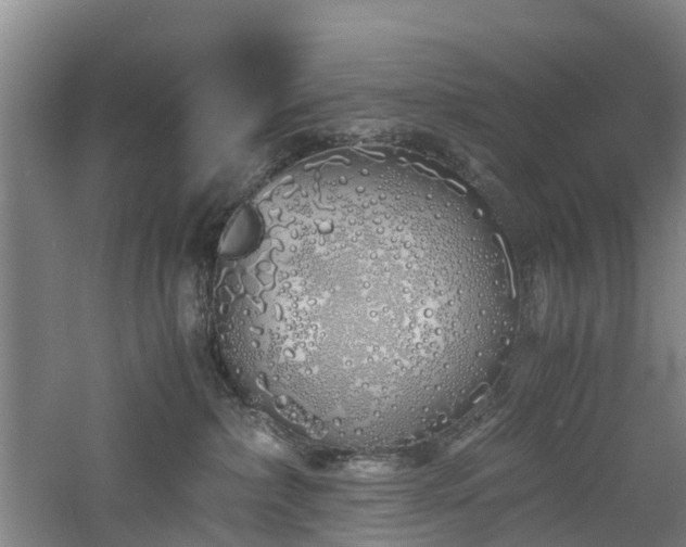 X0000060770236200511101222