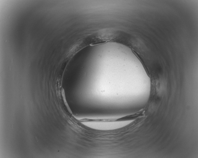 X0000060770237200511101222