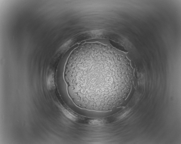 X0000060770238200511101222