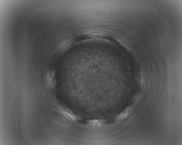 X0000060770239200511101222