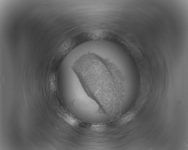 X0000060770240200511101222