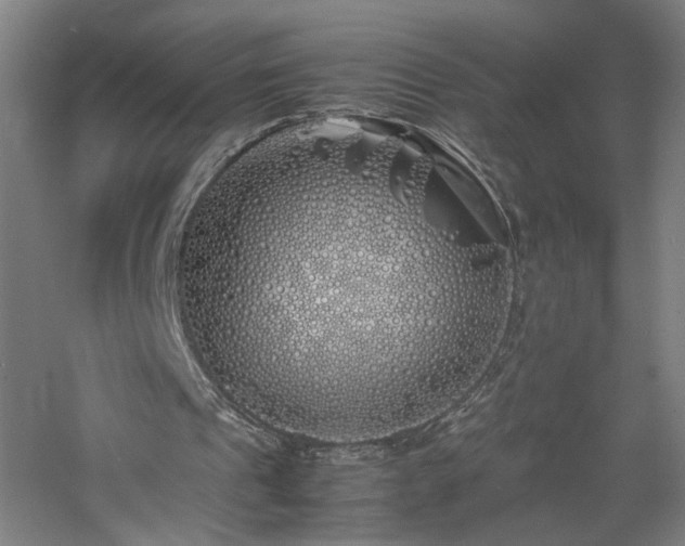 X0000060770241200511101221