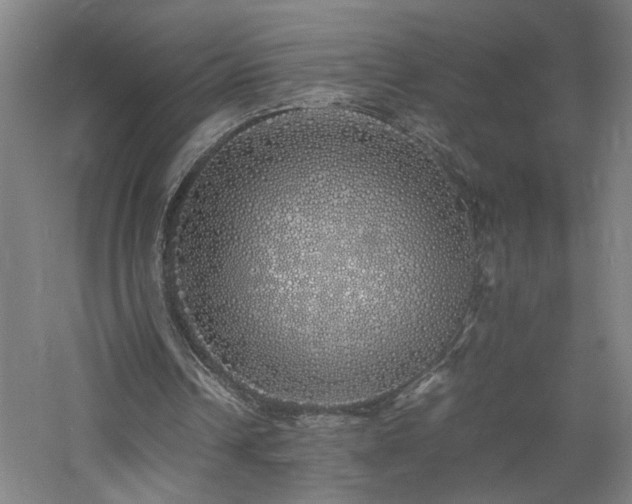 X0000060770242200511101221